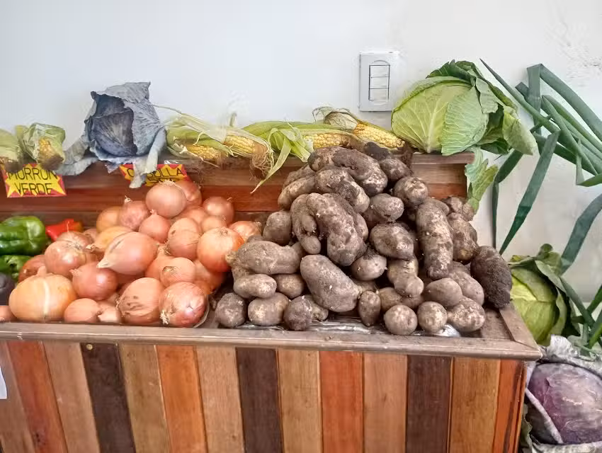 Dis-fruta Fruter&iacute;a y Verduler&iacute;a