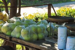 &ldquo;Don Panchito&rdquo; Gonz&aacute;lez