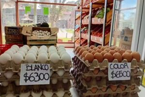 EcoFrut autoservicio