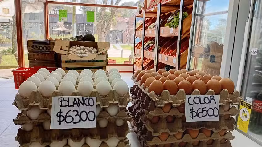 EcoFrut autoservicio