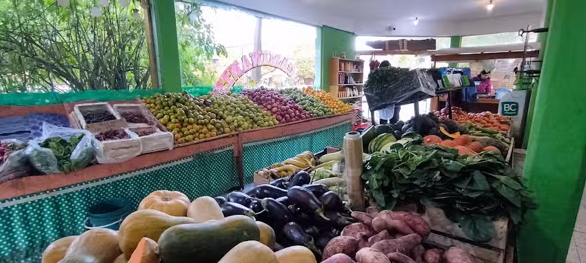 El Caminante &ndash; Verduler&iacute;a y Fruter&iacute;a