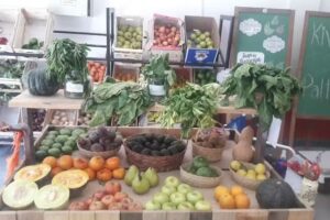 El Chili Verfrut (Almacen)