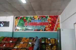 El Correcaminos Verduler&iacute;a