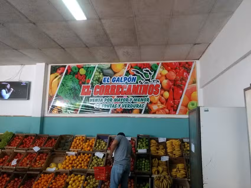 El Correcaminos Verduler&iacute;a