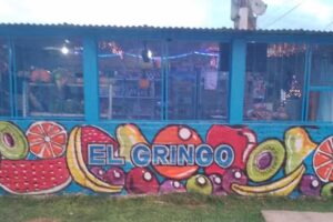 El gringo fruter&iacute;a y verduler&iacute;a