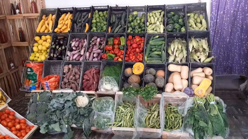 El gringo verduleria y polleria