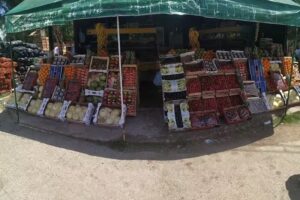 El hormiguero de zapata..