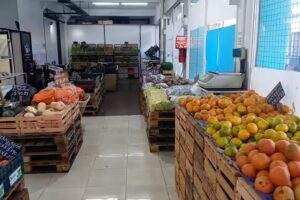 EL MERCADITO CENTRAL FRUTAS Y VERDURAS MIX FRUITS