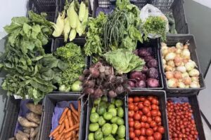 El Mercadito de Edi Verduleria