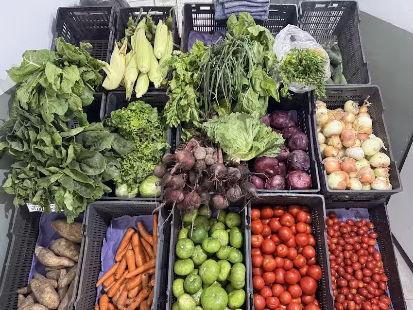 El Mercadito de Edi Verduleria