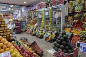 El Nuevo Sol Fruter&iacute;a