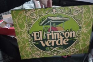 EL RINCON VERDE 💚🌿