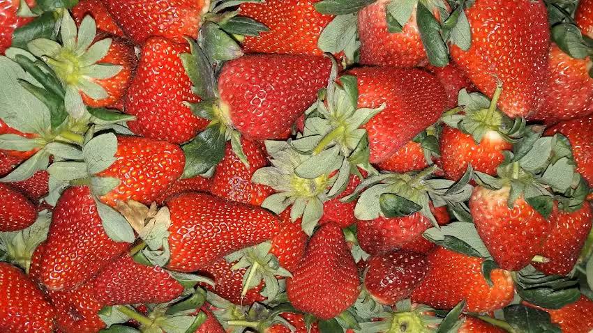 El Shopping de La Verdura