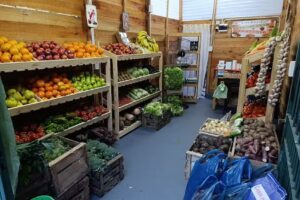 El Todito Los Gordis