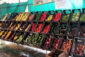 El Triangulo Verde Verduleria y Polleria