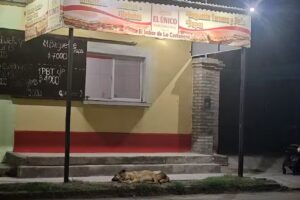 &bull;ELUNICO&bull;MINIMARKET