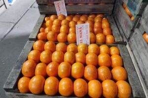 Empaque Citrus El Man&aacute;