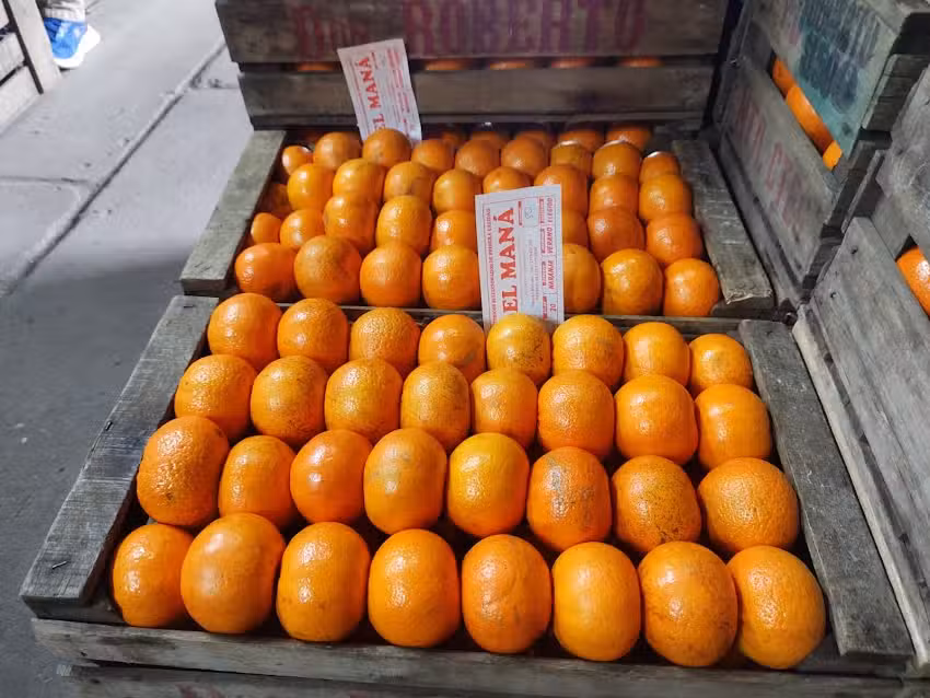 Empaque Citrus El Man&aacute;