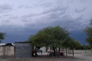 esther chazarreta &rdquo; LUCHA&rdquo;