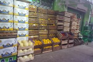 FERGO VILLATE, frutas y verduras