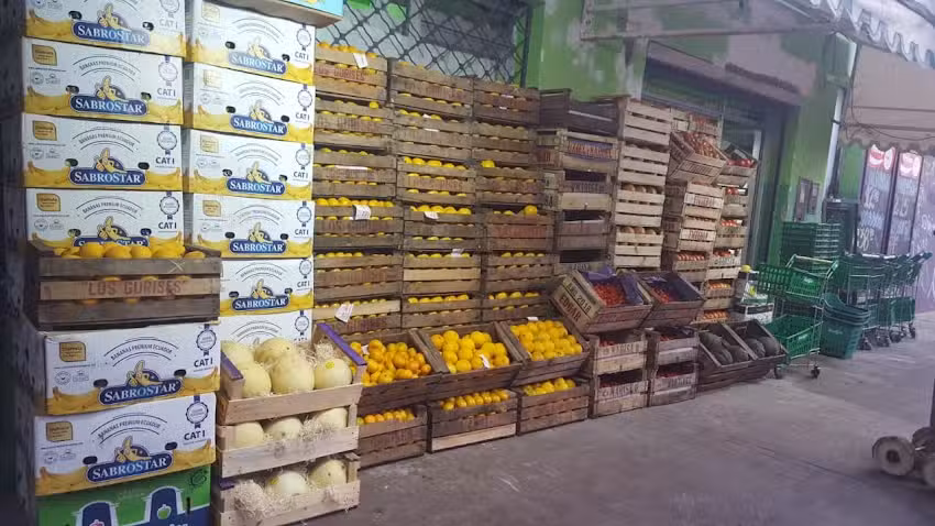 FERGO VILLATE, frutas y verduras