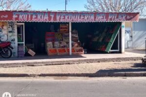 Feria del Pilar frutas y verduras