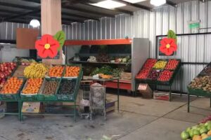 Feria Franca Punto De Encuentro