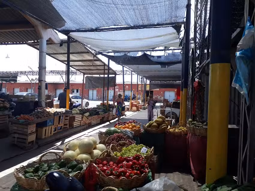 Feria y Mercado de Abasto Municipal de la Capital de San Juan