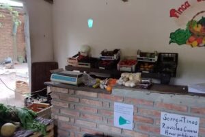 Finca de G&oacute;mez verduler&iacute;a org&aacute;nica y convencional