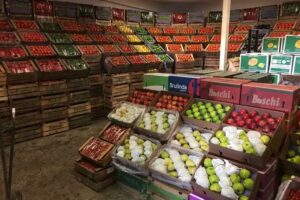 Florfrut (Concentrador Mayorista de Frutas y Hortalizas)