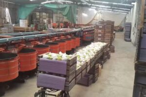 Frigorifico Marcelo Cecive e hijos S.A