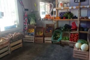 Fruta y verdura la Esquina
