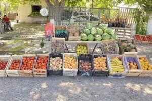 Frutas el Porte&ntilde;o