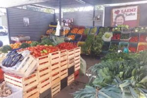 Frutas & Verduras DEL VALLE