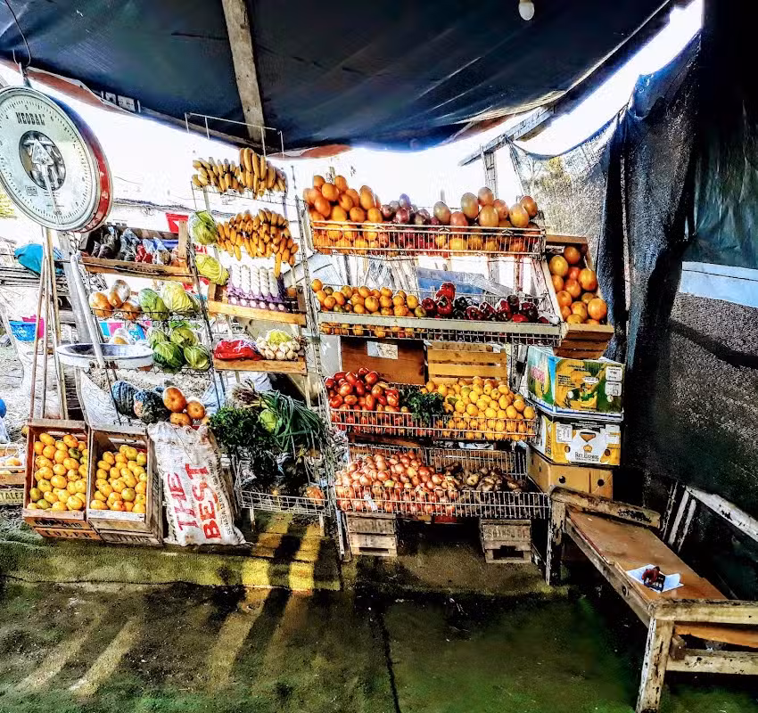 Frutas-verduras y Carnes &ldquo;&ntilde;anderoga&rdquo;
