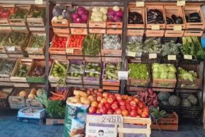 Frutas Y Verduras Dylan