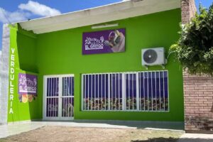 Frutas y Verduras El Gringo