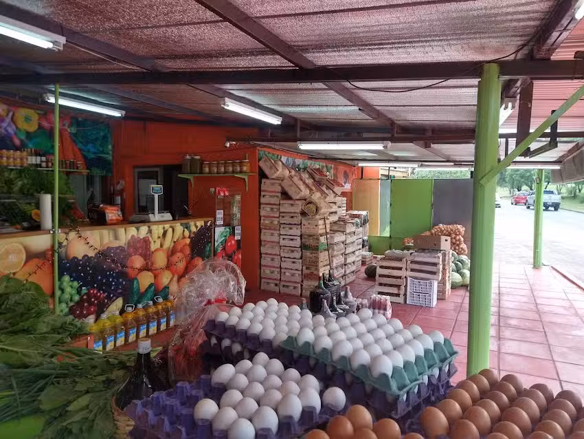 Frutas y Verduras &ldquo;El pantera&rdquo;