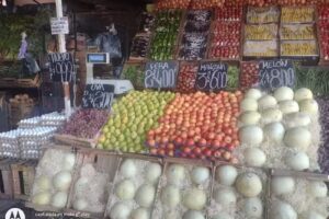Frutas y Verduras El Puente