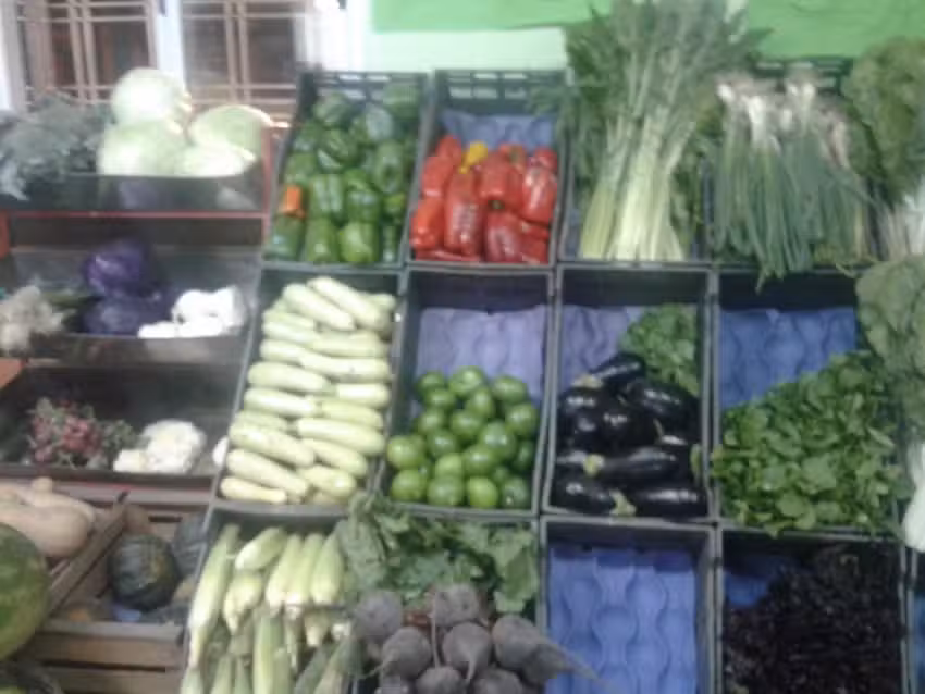 Frutas y Verduras El Rafa