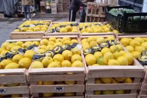 Frutas y verduras fran