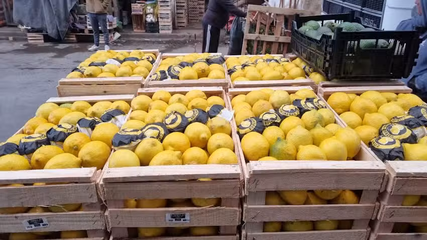 Frutas y verduras fran