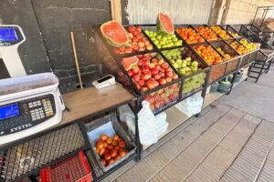 Frutas y verduras ISELIN 1