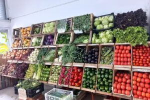 Frutas y verduras juank