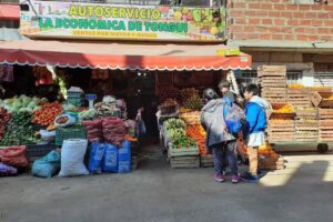 Frutas y verduras la economica de tongui