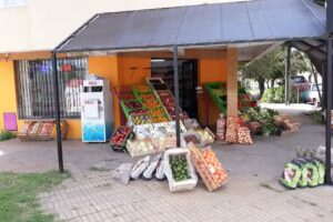 FRUTAS Y VERDURAS LA ESQUINA