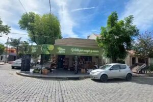 Frutas Y Verduras Lima Limon