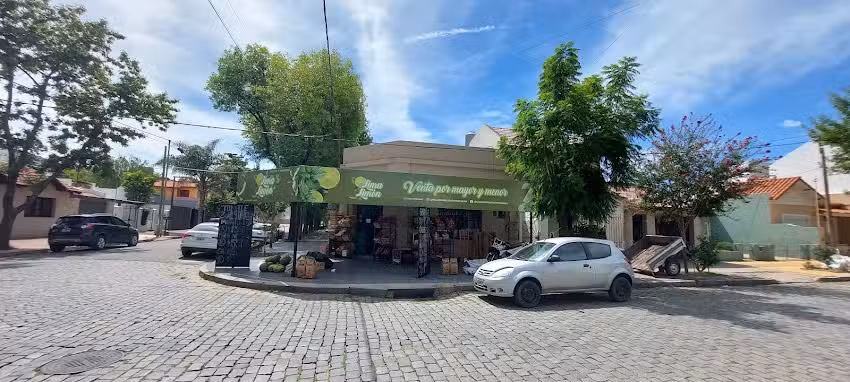 Frutas Y Verduras Lima Limon