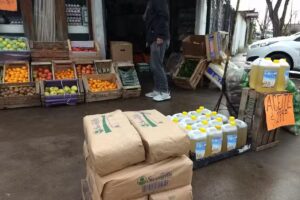 Frutas y Verduras Manki y Dion