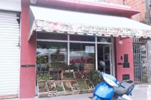 Frutas Y Verduras MARY